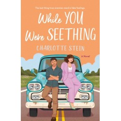 While You Were Seething: A Novel