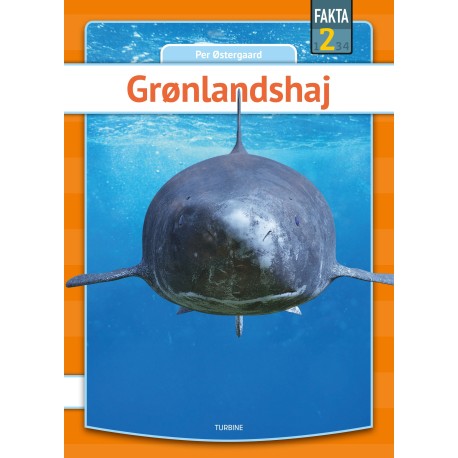 Grønlandshaj