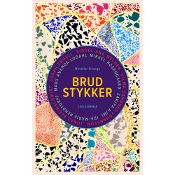 Brudstykker: Noveller til unge