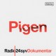 Afsnit 1: Dommen