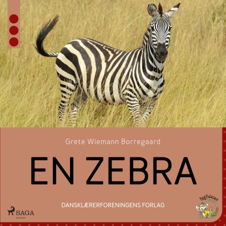 En zebra