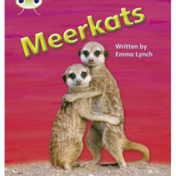 Bug Club Phonics - Phase 5 Unit 22: Meerkats