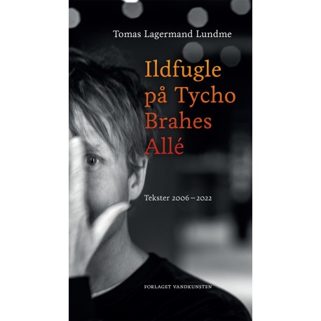 Ildfugle på Tycho Brahes Allé: Tekster 2006-2022