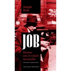 Job: Roman om et enkelt menneske