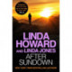 After Sundown: an irresistibly gripping romantic thriller