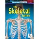 The Skeletal System