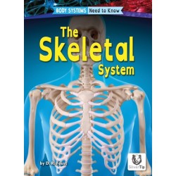 The Skeletal System