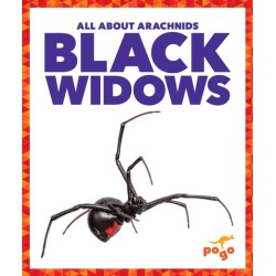 Black Widows