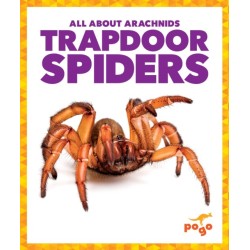 Trapdoor Spiders