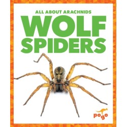 Wolf Spiders