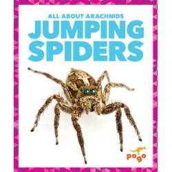 Jumping Spiders
