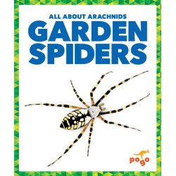 Garden Spiders
