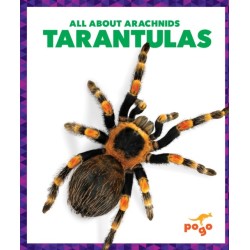 Tarantulas