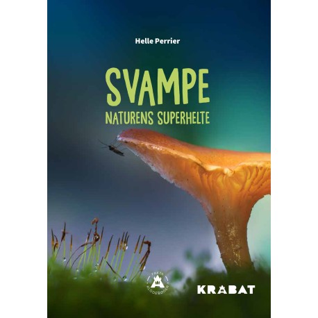 Svampe: Naturens Superhelte