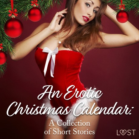 An Erotic Christmas Calendar: A Collection of Short Stories