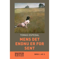 Mens det endnu er for sent (Storskrift)