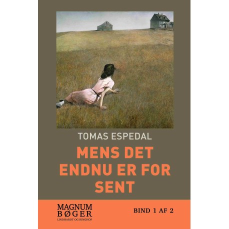 Mens det endnu er for sent (Storskrift)