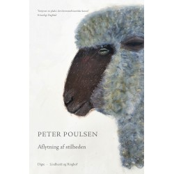 Aflytning af stilheden