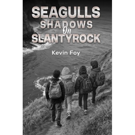 Seagulls Shadows on Slantyrock