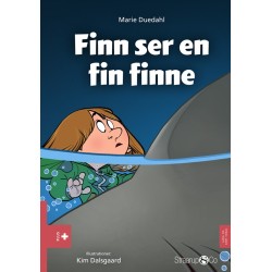 Finn ser en fin finne