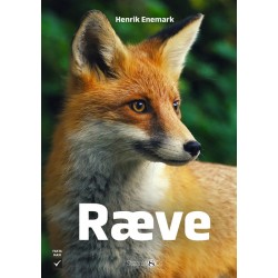 Ræve