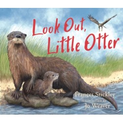 Look Out, Little Otter
