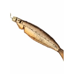 Røget Sild