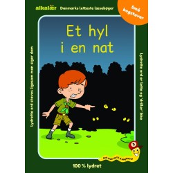 Et hyl i en nat