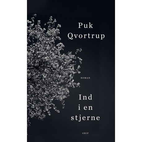 Ind i en stjerne