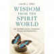 Wisdom From the Spirit World: Life Teachings on Love, Forgiveness, Purpose and Finding Peace