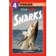 TIME for Kids: Sharks