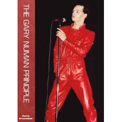 The Gary Numan Principle