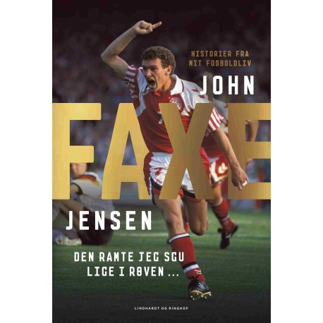 Faxe: Den ramte jeg sgu lige i røven ...