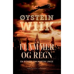 FLAMMER OG REGN: En roman om Martin Linge
