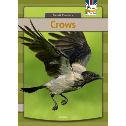 Crows