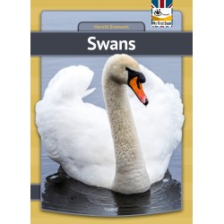 Swans