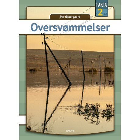 Oversvømmelser