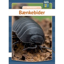 Bænkebider