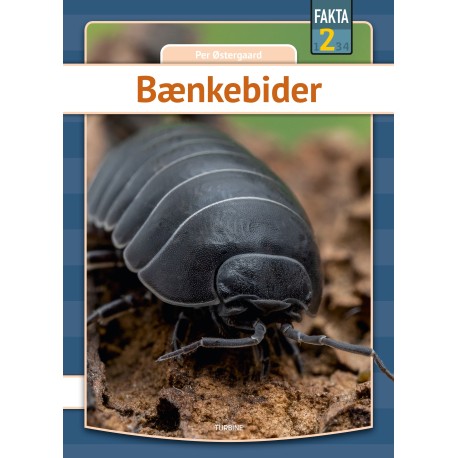 Bænkebider