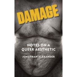 Damage: Notes on a Queer Aesthetic