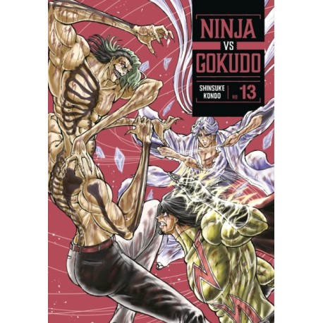 Ninja Vs. Gokudo 13