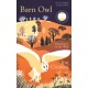 Barn Owl