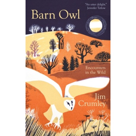 Barn Owl