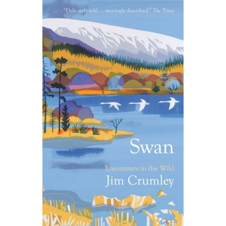 Swan