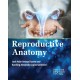 Reproductive Anatomy