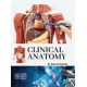Clinical Anatomy