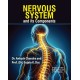 Nervous System and Its Components