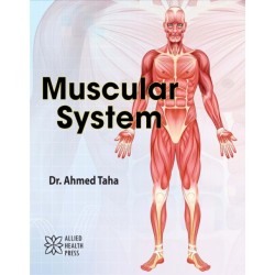 Muscular System