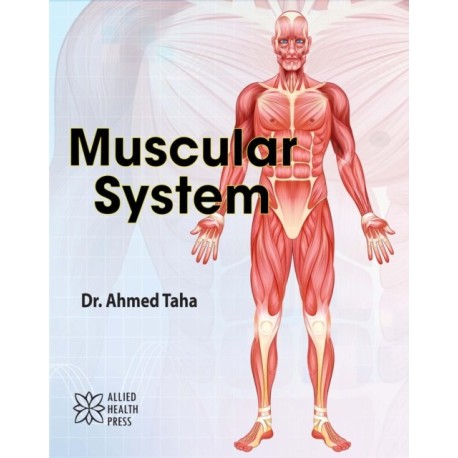 Muscular System