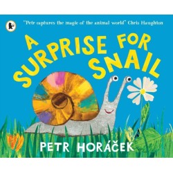 A Surprise for Snail